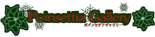 ■企画展■ポインセチアギャラリー